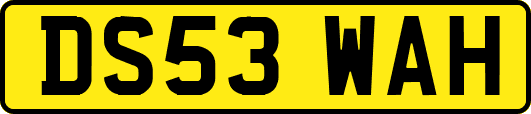 DS53WAH