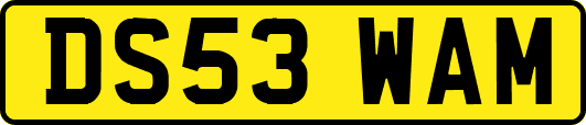 DS53WAM
