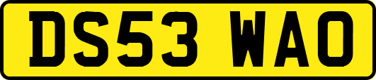 DS53WAO
