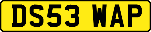 DS53WAP