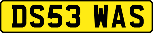 DS53WAS