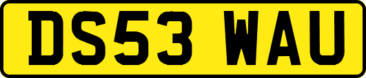 DS53WAU