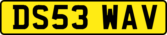 DS53WAV