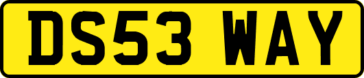 DS53WAY