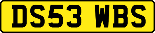 DS53WBS