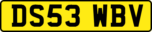 DS53WBV