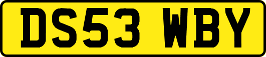 DS53WBY