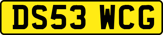 DS53WCG