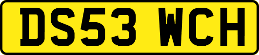 DS53WCH