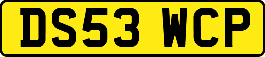 DS53WCP
