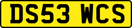 DS53WCS