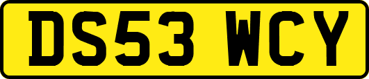DS53WCY