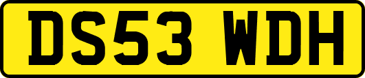 DS53WDH