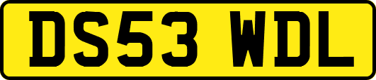 DS53WDL