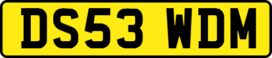 DS53WDM