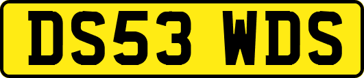DS53WDS