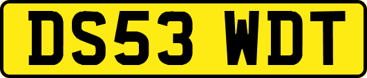 DS53WDT