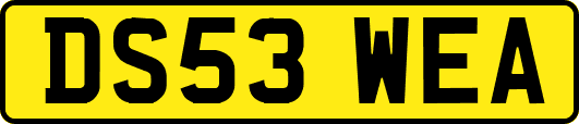 DS53WEA
