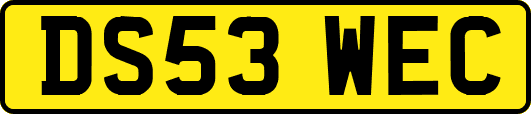 DS53WEC