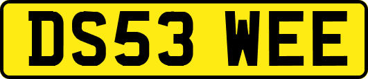 DS53WEE