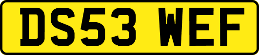 DS53WEF