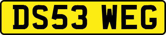 DS53WEG