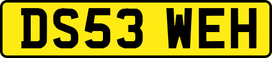 DS53WEH