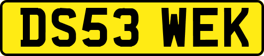 DS53WEK