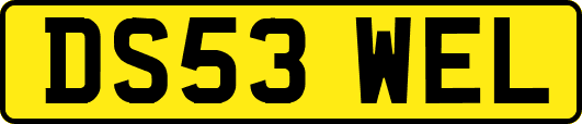 DS53WEL