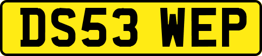 DS53WEP