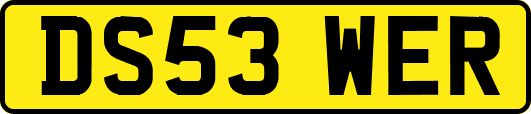 DS53WER