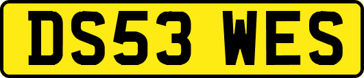 DS53WES
