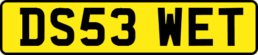 DS53WET