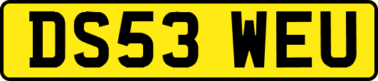 DS53WEU