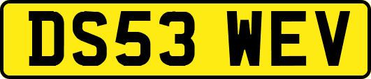 DS53WEV