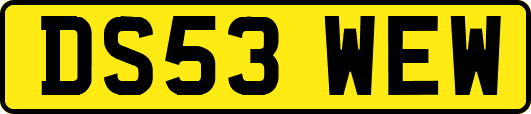 DS53WEW