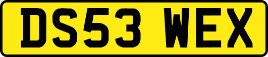 DS53WEX