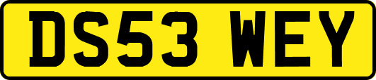 DS53WEY