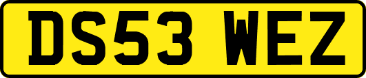 DS53WEZ