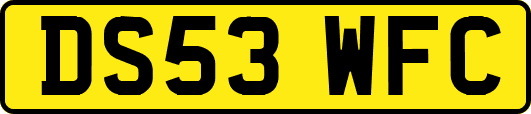 DS53WFC