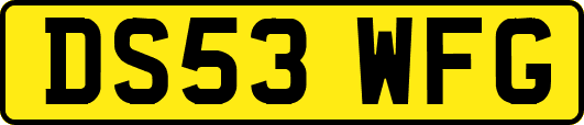 DS53WFG
