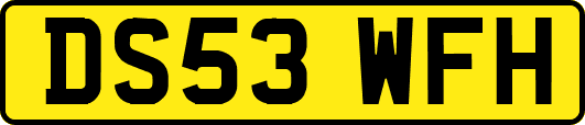 DS53WFH