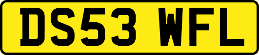 DS53WFL