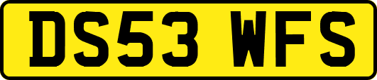 DS53WFS