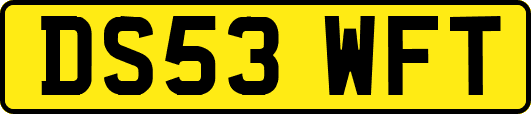 DS53WFT