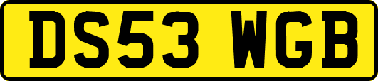 DS53WGB