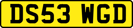 DS53WGD