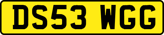 DS53WGG