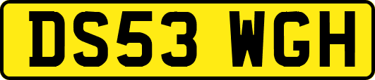 DS53WGH