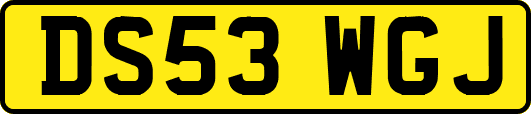 DS53WGJ